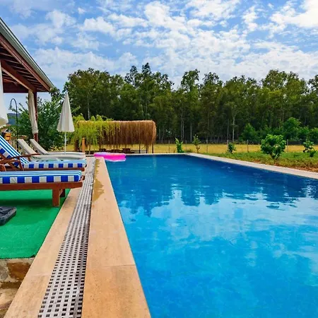 Fethiye Kayakoey'De Oezel Havuzlu 10 Kisilik Villa Nazen Фетхие