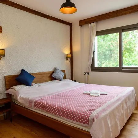 Fethiye Kayakoey'De Oezel Havuzlu 10 Kisilik Villa Nazen Villa Fethiye